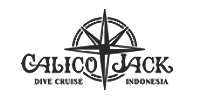 Calico Jack Pirate Boat