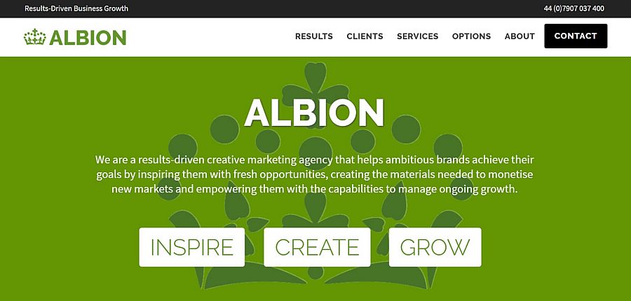 website branding design